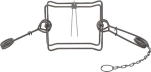 10 Inch Jaw Spread Wildlife Traps 0430 by Duke Pecan Best Price