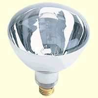 125 Watt Infrared Clear Bulb 125R40/1 by Feit Electric