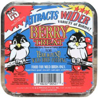 11 3/4 Ounce Berry Treat Suet Cake 12527 by C and S Products Best Price