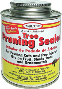 8 Ounces Tree Pruning Sealer Brs Cp 98008 by Tanglefoot Best Price