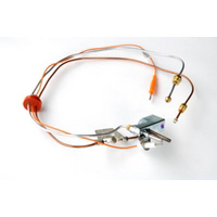 Lp Gas Pilot Assembly 9003472 by Reliance Water Heater Best Price