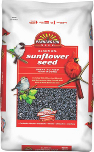 Black Oil Sunflower Seed 50 Pounds 515598 by Pennington-Seed Best Price