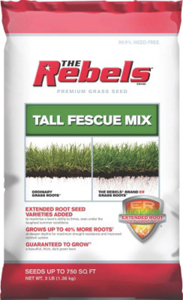 5 Pounds Rebel Supreme Seed 147860 by Pennington Seed Best Price