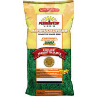 5 Pounds Sahara Bermuda Seed LP112270 by Pennington Seed Best Price