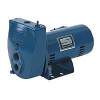 3/4Hp Deep Well Jet Pump SLD-L by Sta Rite Best Price