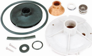 Jet Pump Overhaul Kit FPP1560-P2 by Pentair Water Best Price