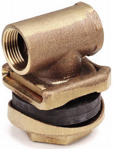 1 Inch Pitless Adapter A10148-P2 by Pentair Water Best Price
