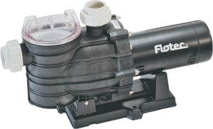 3/4 Hp Pool Pump AT250701 by Sta Rite Best Price