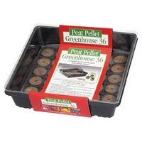 11 By 11 Inch Peat Grn House PO36 by Plantation Products Best Price