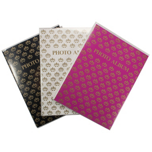 Flex Cover Mini Album FC146 by Pioneer Photo Best Price