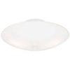 2 Light Semi Flush Mount Ceiling Light Fixture White Finish White Glass 66242 by Westinghouse Lighting
