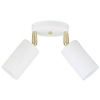 2 Light White Ceiling Fixture 66682 by Westinghouse Lighting