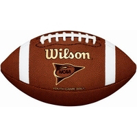 Ncaa Youth Football WTF1704 by Wilson Sporting Goods Best Price