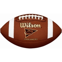 Ncaa Junion Football WTF1703 by Wilson Sporting Goods Best Price