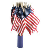4 By 6 Inch Usa Hand Flag 041180R by Annin Best Price