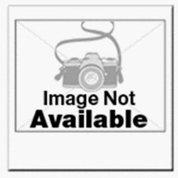 Roll Fluorescent Red Label 000020 by Avery Dennison  Monarch Division Best Price