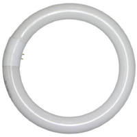 30 Watt 8.8 Inch Comp Fluorescent Bulb 2630B by Lights Of America Best Price
