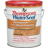 Thompsons Waterseal Low Voc Sheer Honey Gold Pail 21825 by Thompsons