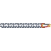 Armorlite 14 3 Steel Armor Ac By 25 Foot 55278521 by Southwire
