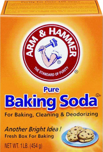 Arm and Hammer 16 Ounce Arm and Hammer 01110 by Church and Dwight Best Price