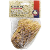 4 Inch To 5 Inch Small Natural Sea Sponge 503192400 by Purdy Best Price
