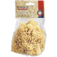 6 Inch To 7 Inch Large Natural Sea Sponge 503192500 by Purdy Best Price