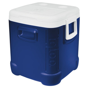 Ice Cube Ice Cube Chest 48 Qt 44347 by Igloo Best Price