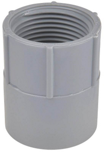 1 1/2 Sch40 Female Adapter E942HR-CTN by Thomas and Betts Carlon Best Price