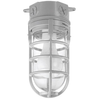 Metal Cage Ceiling Mount Light MCL150C by Thomas and Betts Carlon
