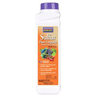 1 Pound Sulfur Plant Fungicide 141 by Bonide Products Best Price
