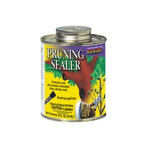 16 Ounce Pruning Sealer 225 by Bonide Products Best Price