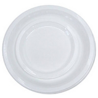 20Ct 10 Inches Wht Plas Plate 28000031 by Creative Converting Best Price