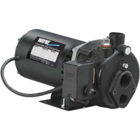 3/4 Horsepower Deep Well Jet Pump 56949 by Wayne Water Systems