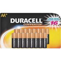 Power Check Duracell Doublewide AA 16 Pack 704647 by Duracell Proctor and Gamble
