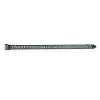 5 Pounds 16D Hot Dipped Galvanized Casing Nail 0063194 by National Nail