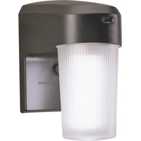Bronze 13 Watt Fluorescent Entry Light FE13PC by Cooper Lighting