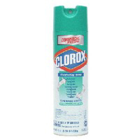 19 Ounce Clorox Disin Spray 38504 by AW Mendenhall Best Price