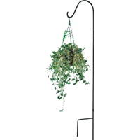 Black Single Shepherd Hook 84 Inches GB-3090 by Mintcraft
