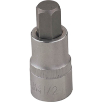 16 Mm 1/2 Inch Drive Hex Bit Socket 3506012013 by Mintcraft