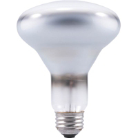 65 Watt 130 Volt Reflector Flood Lamps Incandescent Frosted Value Pack of 6 65W/BR30/FL/CVP/6 by Sylvania Lighting