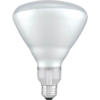 65W Br40 Indoor Reflectr Flood 15678 by Sylvania Lighting
