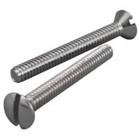 Ch Pltd Face Plate Screws Bag2 PP22612 by Plumb Pak