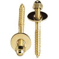 1/4 20 By 2 1/2 Inch Toilet Screw Set PP835-151 by Plumb Pak