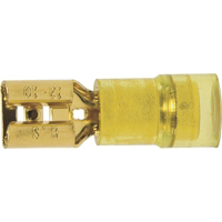 Gold Tech Gold Tech Female Disconnect 65646 by Calterm