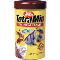 0.42 Ounces Tetramin Flakes 77101 by Tetra Pond Best Price