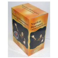 35 Light  Halloween Napolean Blown Apart S5604111 by Sienna Best Price