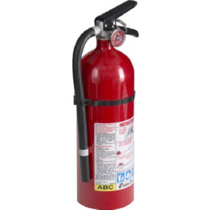 Pro 210 Extinguisher 21005779 by Kidde Safety Best Price