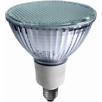 WestPointe Wp 23W Fp38 Fld Bulb FP3823301B by Earth Tronics Best Price