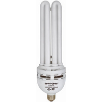 WestPointe Wp 65W 4U Day Cfl Bulb 4U65DL1B by Earth Tronics Best Price