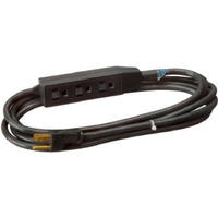 Master Electrician 12 Foot 16/3 Black Extension Cord 04002ME by Ho Wah Gentin Kintron Sdnbhd Best Price